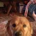 Hugh Wyatt - Facebook