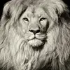 Hugo Ambriz - @hugo.ambriz57 - TikTok