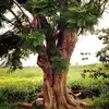 Hugo Arreguín - @hugo.arregun - TikTok