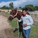 Hugo Barron - @hugo_barron233 - Instagram