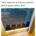 Hugo Barron - Facebook