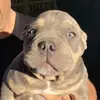 Hugo - @hugoberumen1 - TikTok