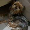 Hugo Borges - @laurabborges - TikTok