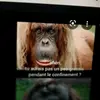 hugoetlaurebraunczech - @hugoetlaurebraunczech - TikTok