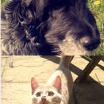 Hugo/Finlay Snead. - @finlayandhugo - Instagram
