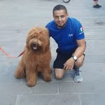 Hugo Gamboa - @mimo_gamboa - Instagram