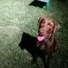 Hugo Gamboa - @hugogamboa29 - TikTok