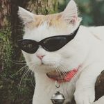 hugo guardado - @gamingjoy123 - Instagram