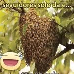 Hugo Guardado - @hugoguardado1 - Instagram