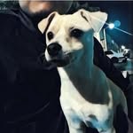 hugo guardado - @huguitoelperrito - Instagram