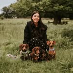 Chloe 👩🏻 Hugo, Hunter, Hazel, Holly & Blossom 🐾 - @thedaxieadventures - Instagram