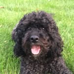 @hugo.hunter - Instagram