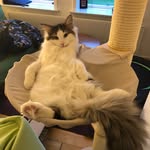 Hugo the Hunter - @hugo.the.hunter - Instagram