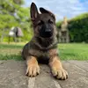 hugohunter_dabest - @hugohunter_dabest - TikTok