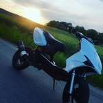 Hugo Koch - @hugostattarskola_ab - Instagram