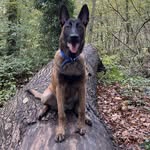 Hugo Murphy - @hugo_theboss22 - Instagram