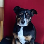 Hugo Murphy - @hugomurphybooks - Instagram