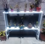Hugo Murphy - Facebook