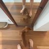 Hugo〽️ - @hugo.murphy_ - TikTok
