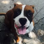 Hugo Puente - @jugo0599 - Instagram