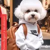 Hugo Puente Arana - @hugo.puente.arana - TikTok