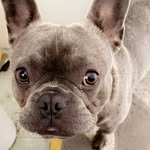 Hugo - @hugoscott_6 - Instagram