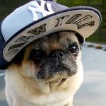 Youtuber - @hugo___simpson - Instagram