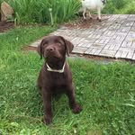 Hugo Yang Merlucius - @hugoyangmerlucius - Instagram