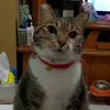 HUI CHEN - @hui.chen546 - TikTok