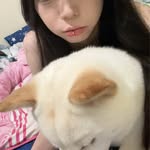 @__hui.qi - Instagram