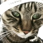 朴 フィソン - @huisonpo - Instagram
