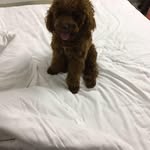 唐慧慧 - @huihui.tang - Instagram