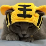 陈灰灰 - @huihuitan_meow - Instagram