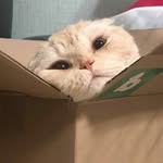 huihuitang622 - @huihuitang622 - Instagram