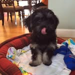 Winnie Huimin Chen - @winniehuimin - Instagram