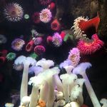 Huiting Li - @lailucinda68 - Instagram