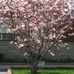 Huiting Li - Facebook