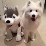 Lihuiting - @huitingli_104 - Instagram