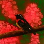 Huiwen  Cheng - @huiwen2843 - Instagram