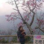 Huiwen Cheng - @huiwen6201 - Instagram
