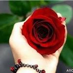 Huma Afzal - Facebook