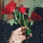 Huma Ali - @humaali062 - Instagram