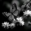 Huma Ashraf - @humaashraf17 - TikTok