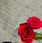 Huma Khatoon - Facebook