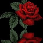 huma khatoon - @humakhatoon64 - Instagram