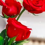 Huma Khatoon - @humakhatoon.khatoon27 - Instagram