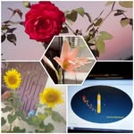 Huma Khatoon - @humakhatoon32 - Instagram