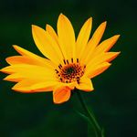 Humaira Ali - @humairaali__._ - Instagram