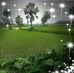 Humaira Ali - Facebook