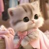 𝓗𝓾𝓶𝓪𝓲𝓻𝓪 𝓘𝓶𝓻𝓪𝓷🥰❤️ - @humaira.665 - TikTok